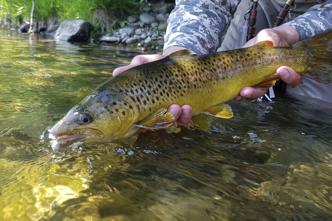 Szczawnica dla wędkarzy