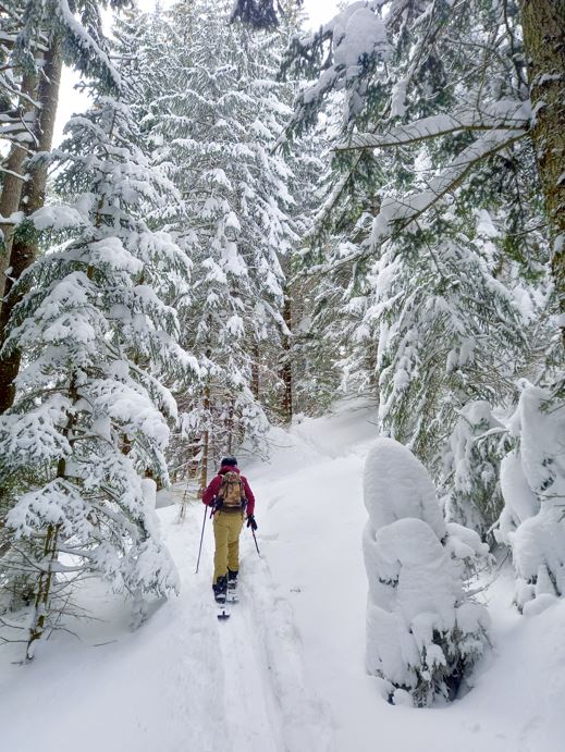 Skitury Szczawnica